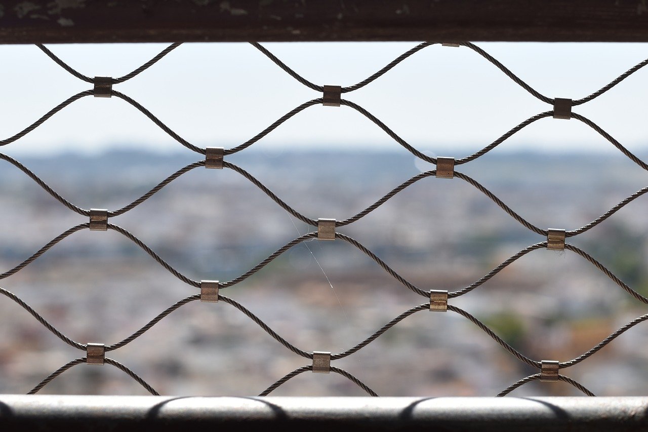 中期移动实名账号：流量卡不同品牌的奥秘，你知道吗？