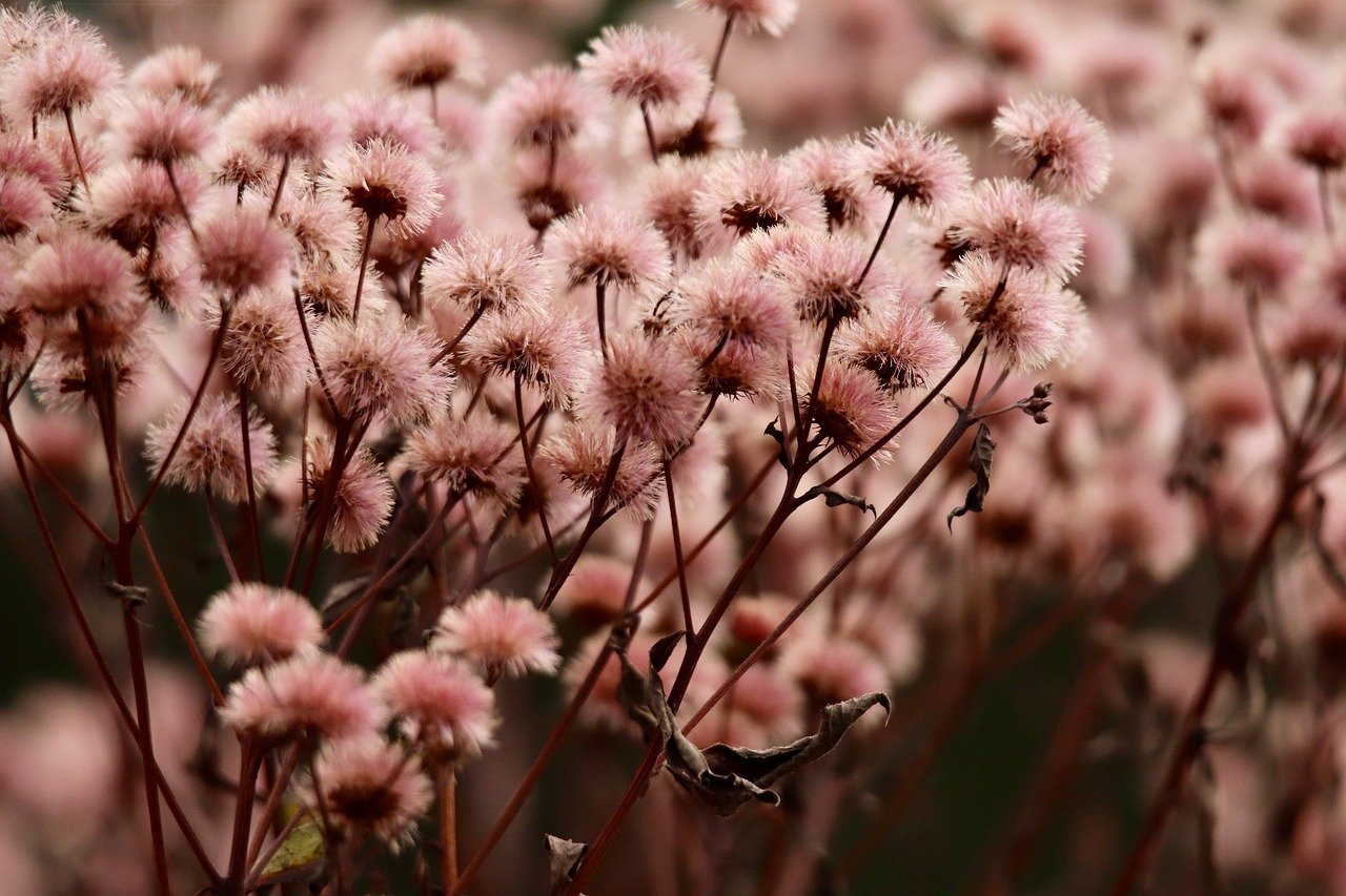 基金购买平台app