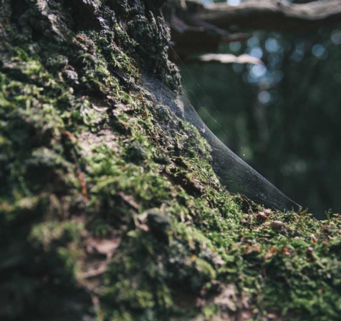 如何进行SEO和用户增长的结合