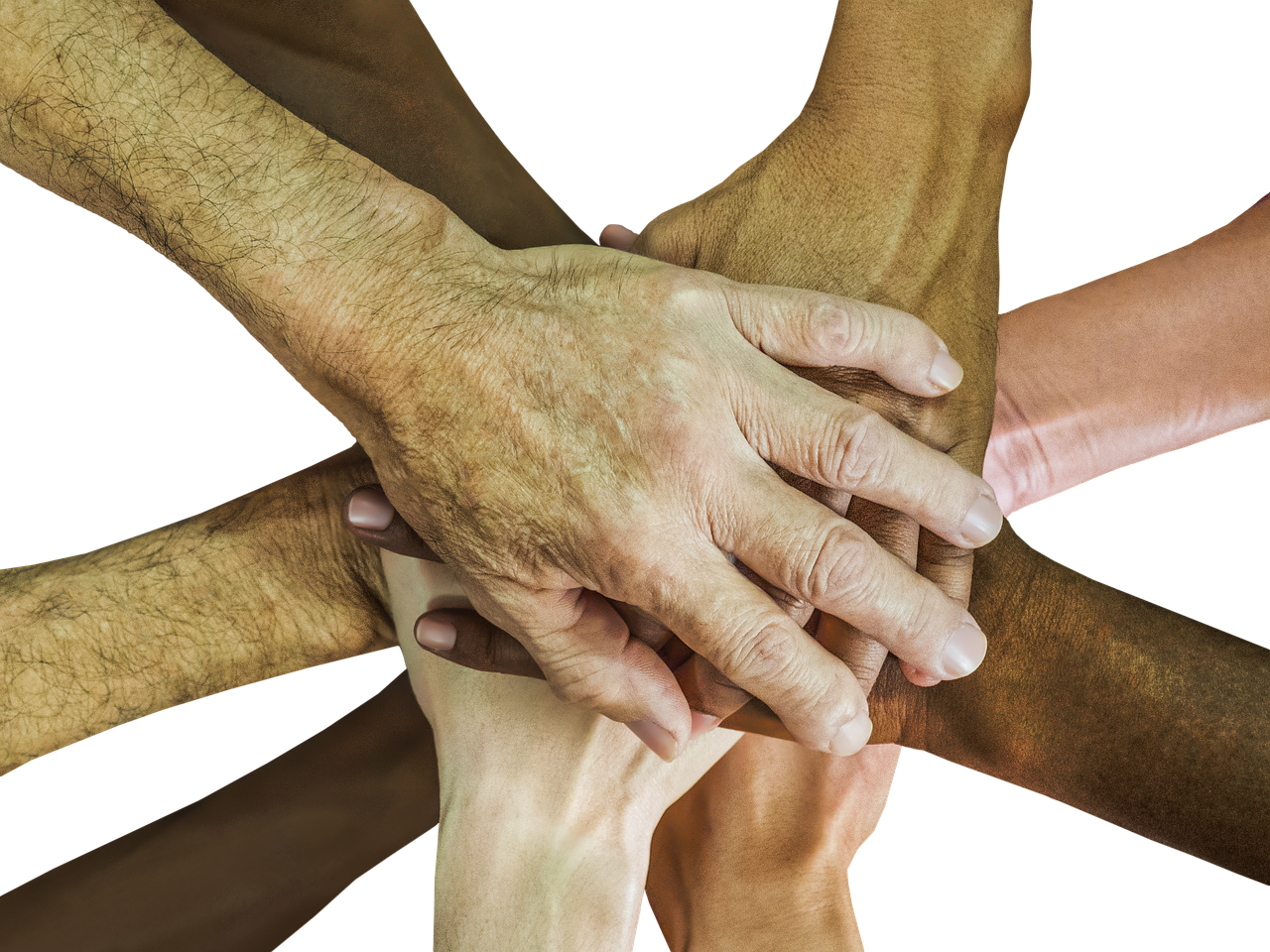 剑与远征:nba app详情下载教程