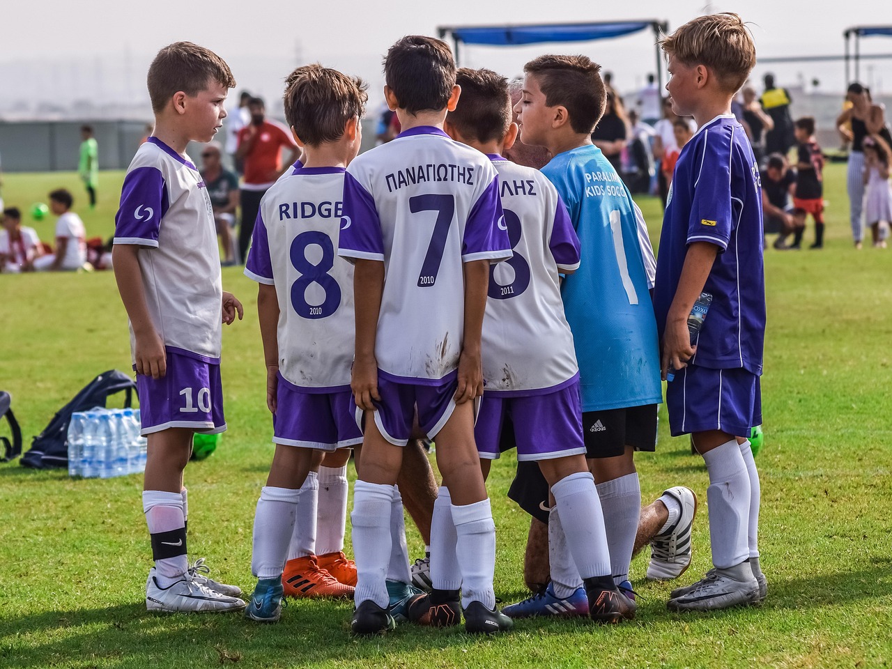 政府购买信息平台